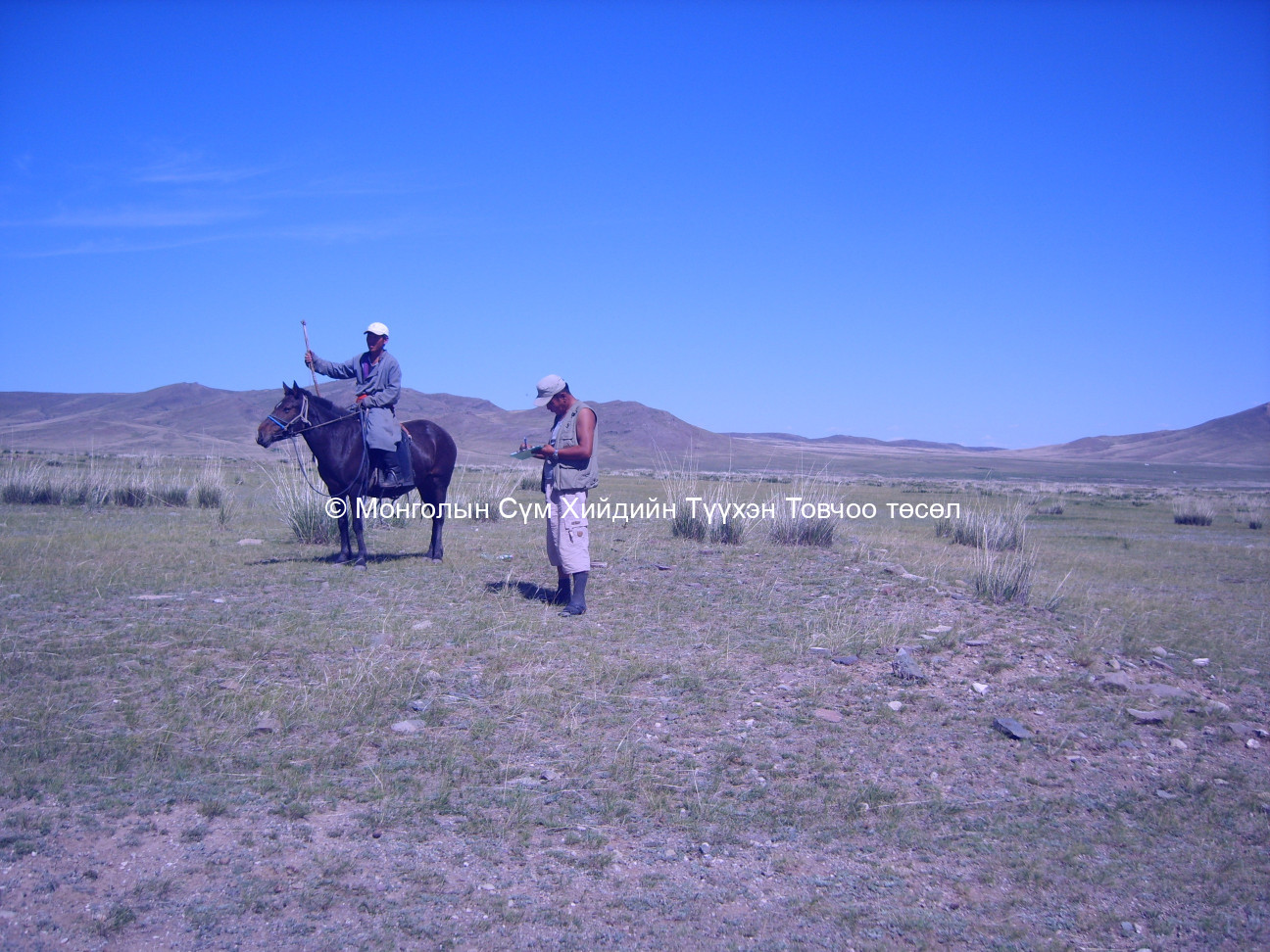 Баруун-Өмнөд талаас авсан